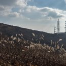 지리산 대경캠핑장 이미지