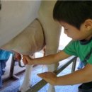 세원목장 이미지