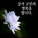 정곡 Daum카페