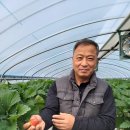 김정기 농장 이미지