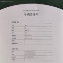 펫포레스트 이미지