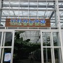 더피자.먹거리장터 이미지