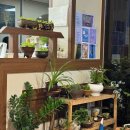 용주밥상 이미지