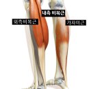 쁘띠멍 | 면목역 피부과! 종아리보톡스 후기만 보고 가면 안 되는 이유!