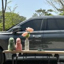 [캠핑] 곡성 아리솔캠핑장, 아리솔의 가족이 되다.