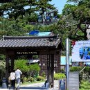 새천년여관 | 포항 당일치기 드라이브 여행코스 호미곶, 구룡포 동백꽃 촬영지