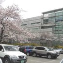 서초2동 주민센터 이미지