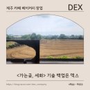 씨에스컴퍼니 | 세화 감성 카페 가는곶세화 기술 백업은 덱스