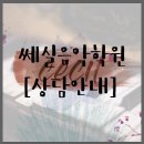 쎄실음악학원