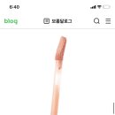 에뛰드 픽싱틴트 진저밀크티랑 비슷한 립 추천좀.. 이미지