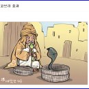 "코브라 효과" 혈압약부작용 당뇨약부작용 스테로이드부작용 관장부작용 변비다이어트 으뜸명의 이미지