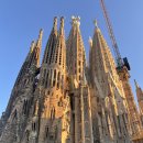 [6/30] 오늘을 연결하는 징검다리 명언 이미지