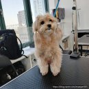 수원-0591 이미지