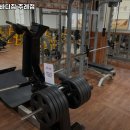 트랜스바디짐 | 부산광역시 사상구 헬스장 트랜스바디짐 주례점 내용가격운영시간주차리뷰 알아보기