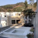 고사리맨션 이미지