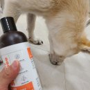 (주)인터펫코리아 | 진드기 예방 인터펫 예삐 테라피 강아지샴푸
