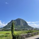 미선이네집 이미지