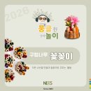 꽃꽂이교사 | [뭉클] 구멍나무 꽃꽂이