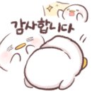 리우드레스 이미지