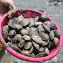 종현어촌마을 이미지