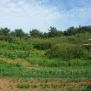 선유농장 이미지