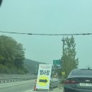 석기구이 | 5월 가볼만한곳 공주 석장리 구석기 축제 후기 주차 등
