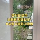멍때리41 - 10377 | 멍때리41