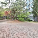 뉴청솔부동산 이미지