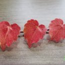 해안중학교 이미지