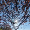 안석낚시터 이미지