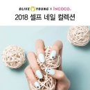 네일신드롬 데일리안
