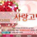 114꽃배달 이미지