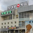 오대양 횟집 - 사상구 | 오대양 횟집