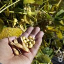 파주통일정보화마을 이미지