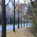 신협연수원 버스정류장 이미지