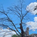 송호관광지 이미지