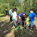 화성매송초등학교 이미지