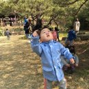 신영숙 컬렉션 이미지