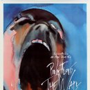 핑크플로이드 이미지