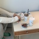 맹그로브 신설 이미지