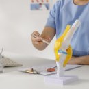 수유정형외과의원 이미지