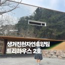 생거진천자연휴양림 진입로 | [진천 생거자연휴양림] 트리하우스 2호 방문후기 |음식|꿀팁| 장단점