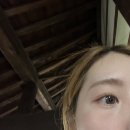 나고야 이누야마 패스 당일치기 이누야마 가는법 / 나고야 거주인의 이누야마 혼자 여행 후기
