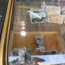 수원-0889 이미지