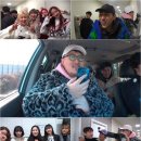 돼지개띠 이미지