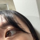 신성안경 | 멜팅헤이즈 원데이 렌즈 쓰리팩토리안경 울산1호점에서 구매한 후기👀🤎
