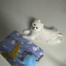 언양진미불고기 이미지