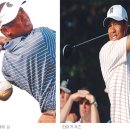 (주)싱코스 이미지