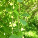 유경농장 이미지