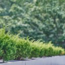 몽몽이엠파크 이미지